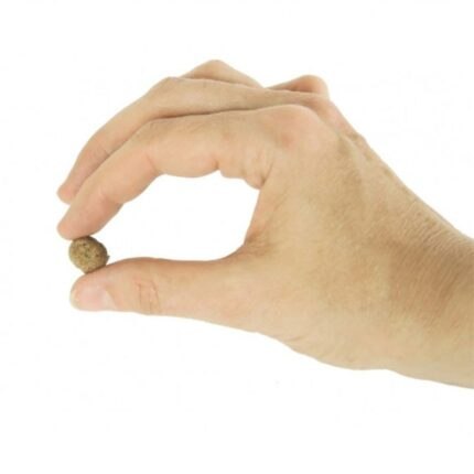 Deer Dog Dzik z batatami 1,5 kg małe rasy sucha karma