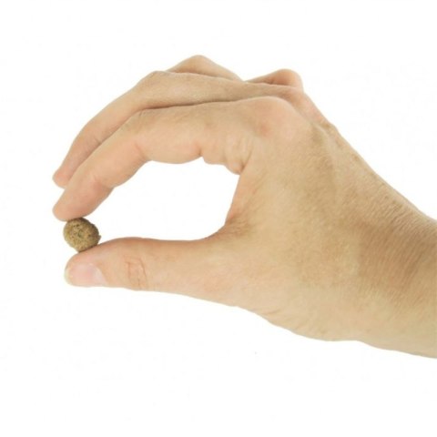 Deer Dog Dzik z batatami 12 kg małe rasy sucha karma przysmak dla psa DZICZYZNA