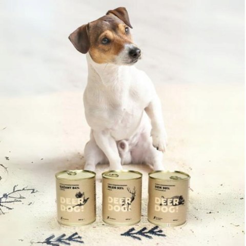 Deer Dog Dzik z topinamburem 800g puszka