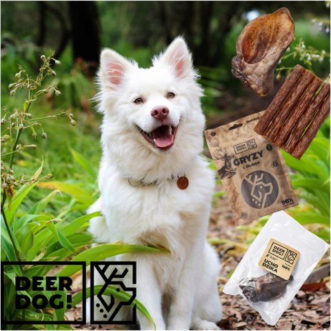 Deer Dog gryzak skóra z dzika 200g