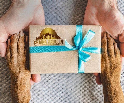 Kraina Radolin Dzik 1,2 kg rasy większe dla psów z alergią i nadwrażliwością 65% mięsa karma sucha pieczona