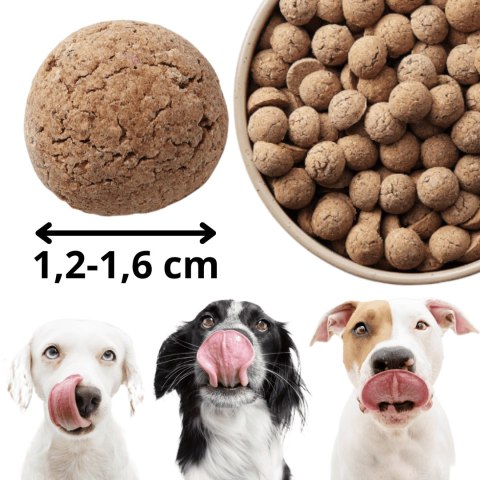 Kraina Radolin Dzik 10 kg średnie i większe rasy karma sucha 65% mięsa dla alergików z nadwrażliwością pokarmową