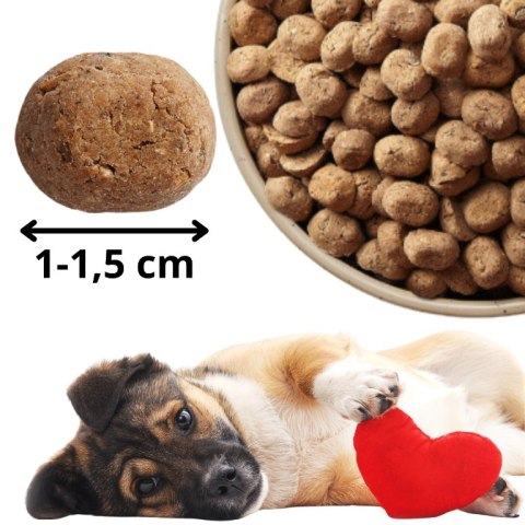 Kraina Radolin Kaczka i Śledź 1,2kg dla psów z alegrią i nadwrażliwością pokarmową 40% mięsa pieczonego karma sucha