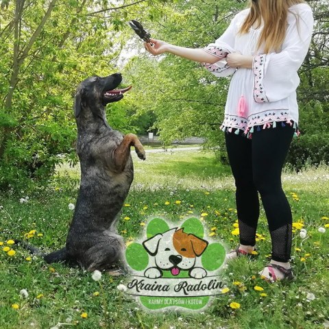 Noga jelenia z kopytem DYŻA natura gryzak