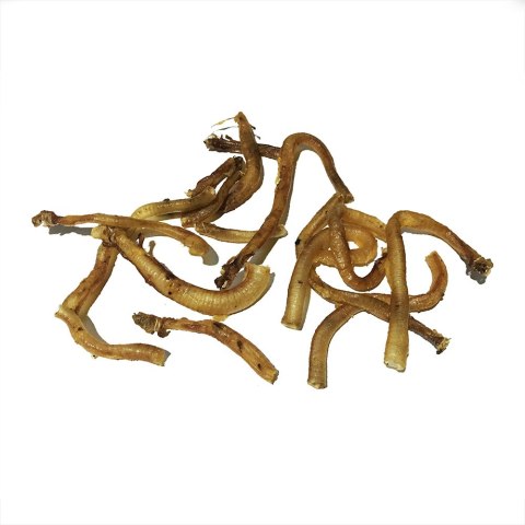 Przełyk z indyka 40g przysmak dla psa gryzak naturalny