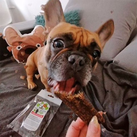 Radonik kaczka 1 kg- batonik wołowina, kaczka, jabłko przysmak dla psa gryzaki naturalne