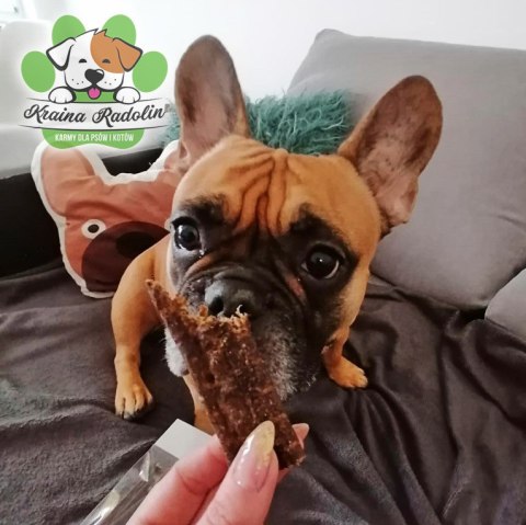 Radonik kaczka 10 szt - batonik wołowina, kaczka, jabłko przysmak dla psa gryzaki naturalne