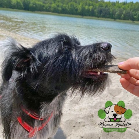 Rodonik mięta - batonik wołowy 10 sztuk przysmak dla psa gryzaki naturalne