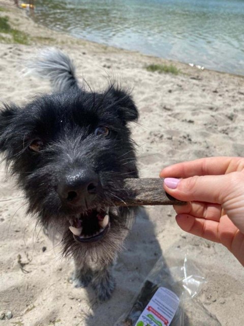 Rodonik mięta - batonik wołowy 10 sztuk przysmak dla psa gryzaki naturalne