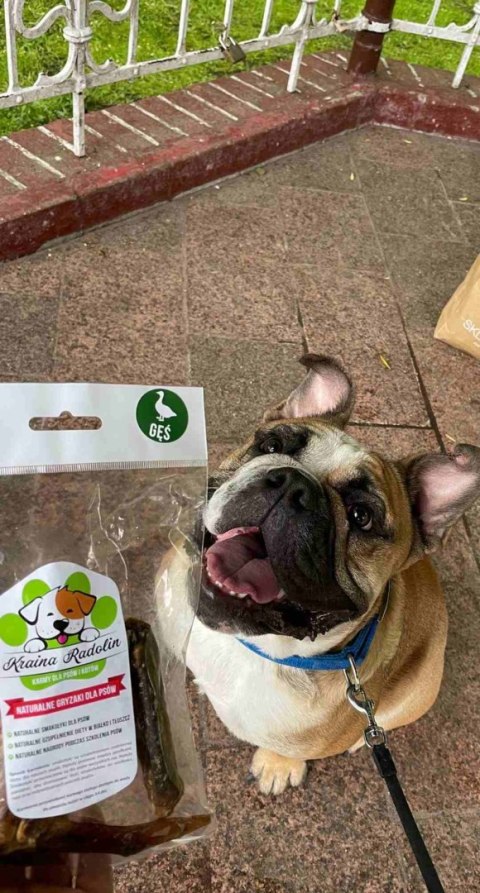 Rodonik mięta - batonik wołowy 10 sztuk przysmak dla psa gryzaki naturalne