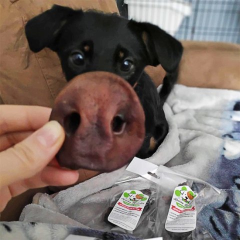 Ryjek wieprzowy 2 szt przysmak dla psa gryzaki naturalne