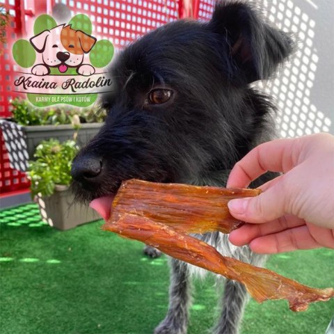 Ścięgno wołowe karkowe 200 g PREMIUM 100% NATURY