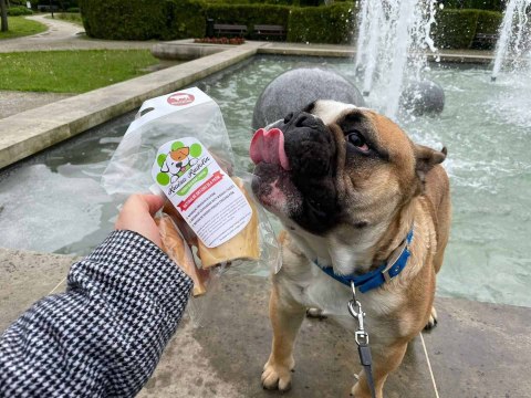 Skóra wołowa 100 g przysmak dla psa gryzaki naturalne