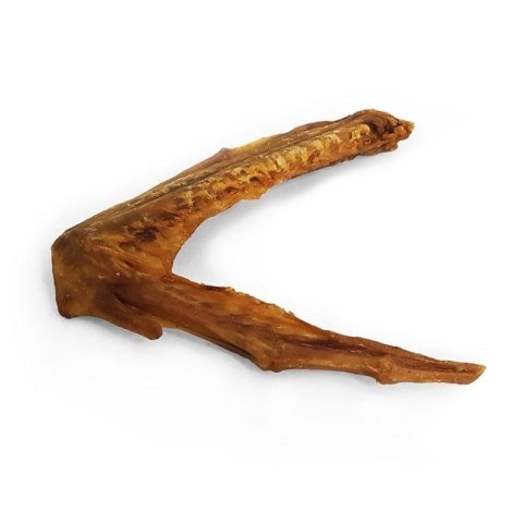 Skrzydło gęśie przysmak dla psa gryzaki naturalne