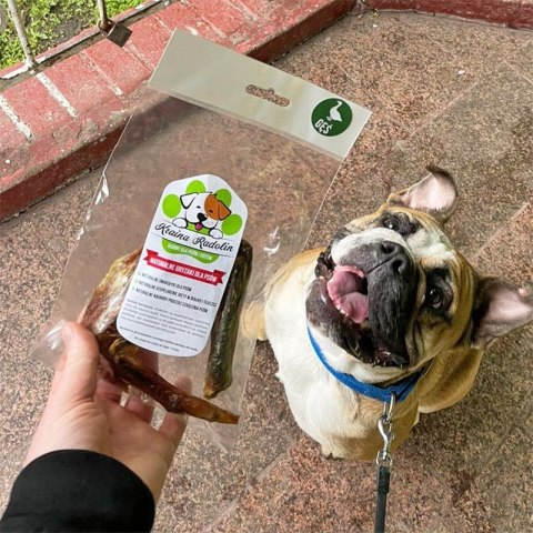 Skrzydło gęśie przysmak dla psa gryzaki naturalne