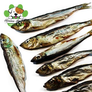 Szprotka bałtycka 40g ryba przysmak dla psa gryzaki naturalne EXTRA