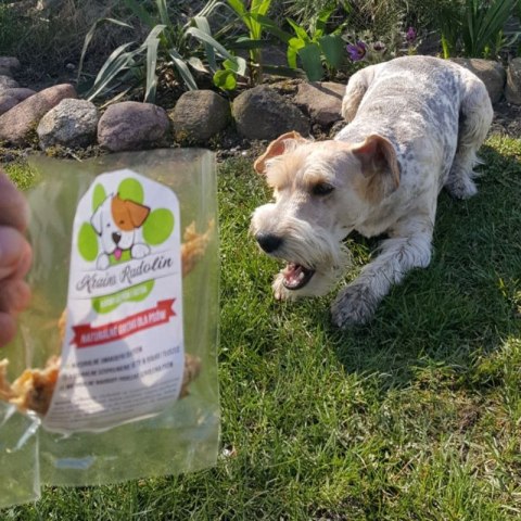 Szyjka kurza 100g przysmak dla psa gryzaki naturalne