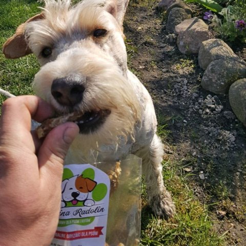 Szyjka kurza 100g przysmak dla psa gryzaki naturalne