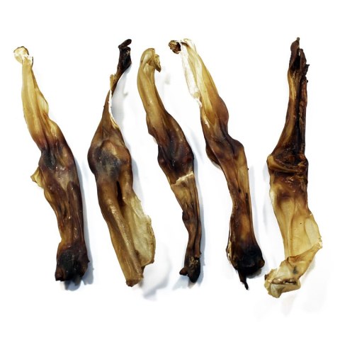 Ucho królika 5 szt NATURALNE PREMIUM