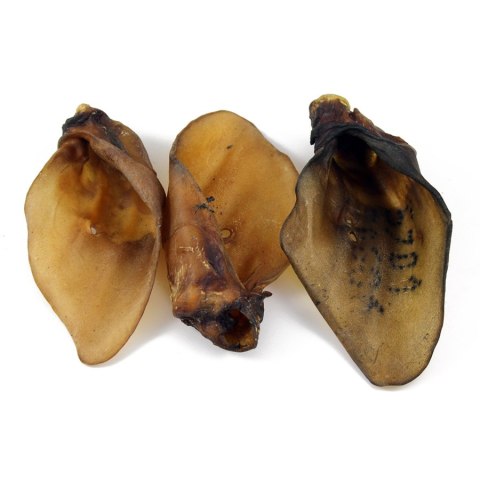 Ucho wołowe przysmak dla psa gryzaki naturalne