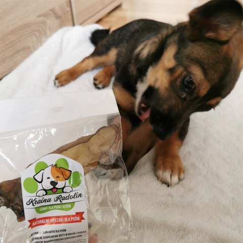 Ucho wołowe przysmak dla psa gryzaki naturalne