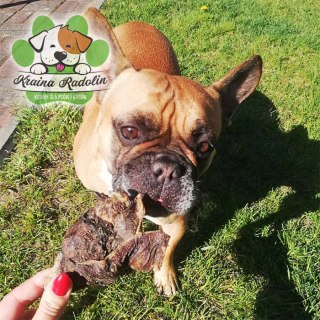 Żwacz wołowy 200g NATURA przysmaki dal pasa gryzaki naturalne