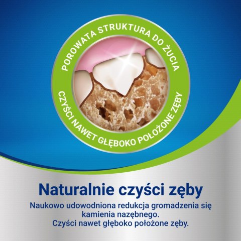 PURINA Dentalife Small 115g