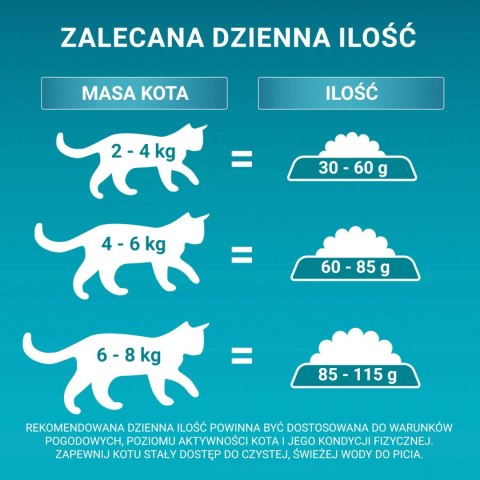 Purina One Cat Adult Z Kurczakiem Dla Kota 800g