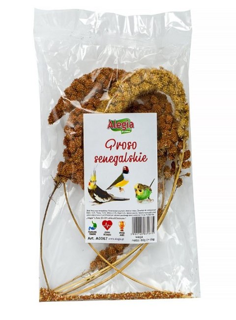ALEGIA Proso Senegalskie 80g