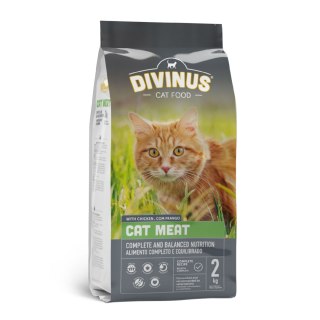 Divinus Cat Meat Karma Sucha Dla Kotów Dorosłych 2kg