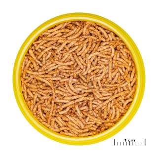 JBL ProNovo Red Insect Stick S 20ml - Dla Karasi Złocistych