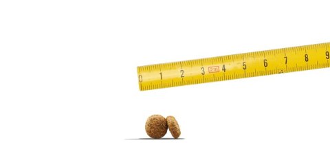 Josera MiniWell Karma Sucha Dla Psów Dorosłych Małych Ras Drób 10kg