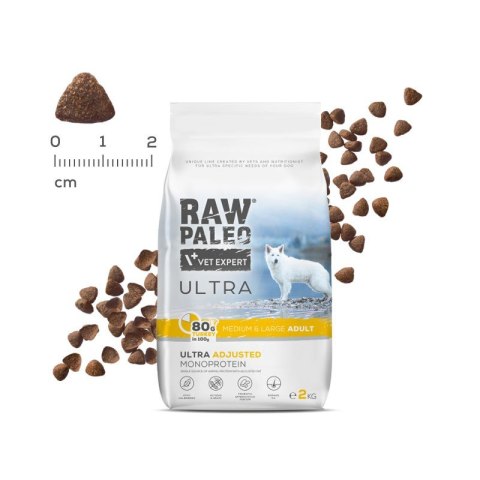 Vetexpert Raw Paleo Ultra Karma Dla Psów Dorosłych Large Indyk 2kg
