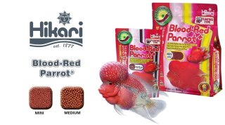 HIKARI Cichlid Blood-Red Parrot Plus Medium 600g