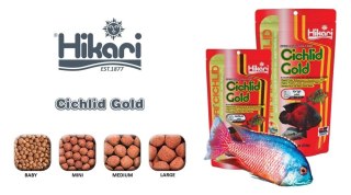HIKARI Cichlid Gold Baby 250g