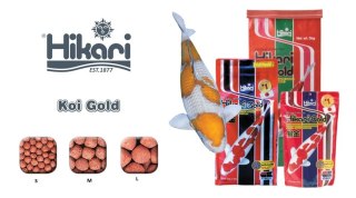 HIKARI Koi Gold S 10kg