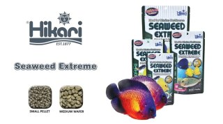 HIKARI Marine Seaweed Extreme Small Pellet 45g