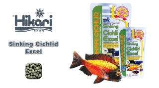 HIKARI Sinking Cichlid Excel Mini 100g