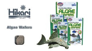 HIKARI Tropoical Algae Wafers 82g