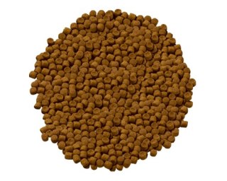 HILL'S SP Science Plan Feline Adult Jagnięcina 5kg