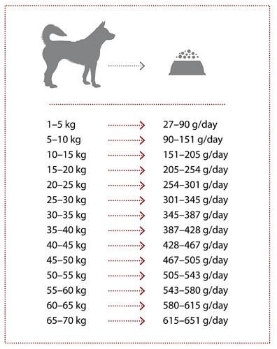 Nature's Protection Extra Salmon 2kg
