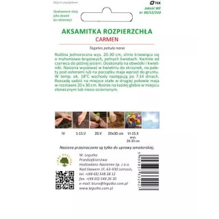 Aksamitka rozpierzchła Carmen mahoniowo-czerwona 1.50g