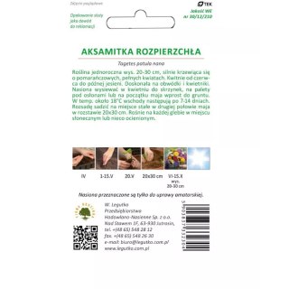 Aksamitka rozpierzchła pełnokwiatowa, pomarańczowa - 1 g