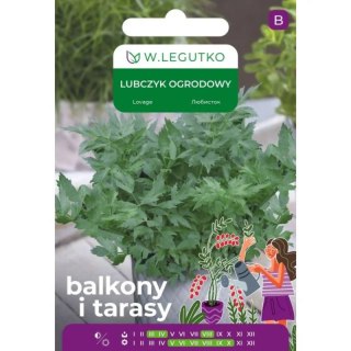 Nasiona lubczyku ogrodowego do ogrodu