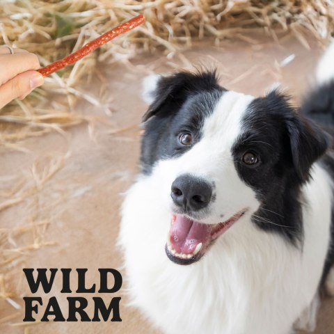 WILD FARM Paluszki Przekąska Dla Psów Kaczka I Ryż 500g