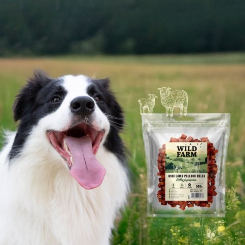 Wild Farm Treat Rolls For Dogs Lamb 500g