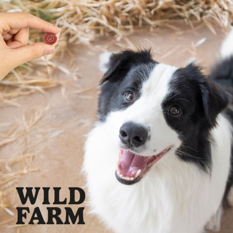 Wild Farm Treat Rolls For Dogs Lamb 500g