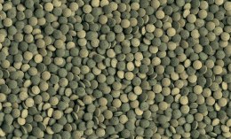 Tetra Pleco Tabletes 58 Tabletek