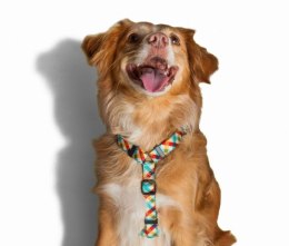 ZEE DOG Szelki H Phantom M