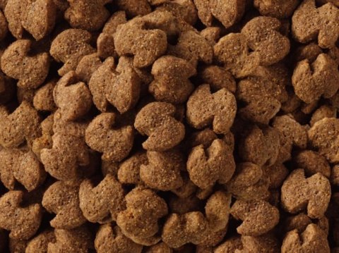 Eukanuba Adult Rottweiler 12kg